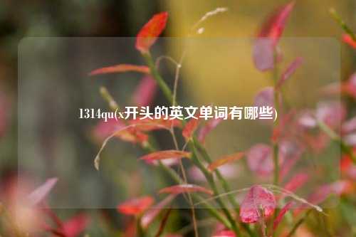 1314qu(x开头的英文单词有哪些)