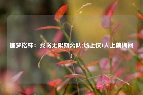 追梦格林：我将无限期离队(场上仅1人上前询问)