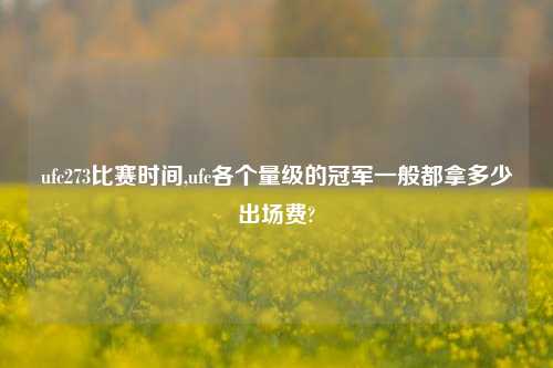 ufc273比赛时间,ufc各个量级的冠军一般都拿多少出场费?