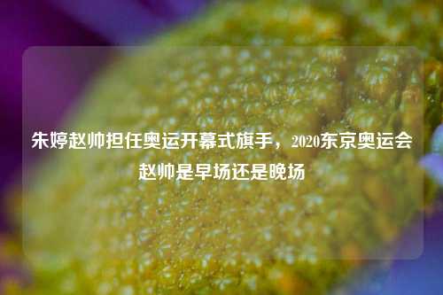 朱婷赵帅担任奥运开幕式旗手，2020东京奥运会赵帅是早场还是晚场