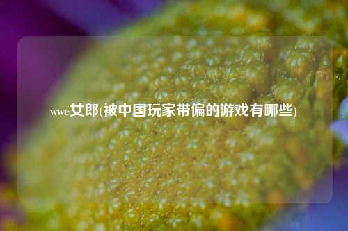 wwe女郎(被中国玩家带偏的游戏有哪些)