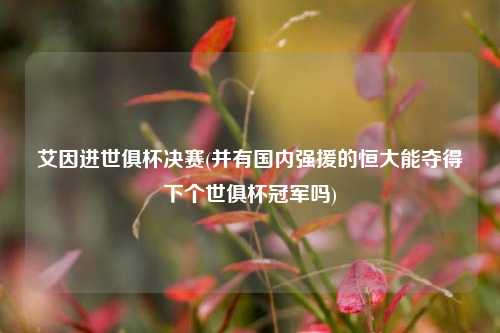 艾因进世俱杯决赛(并有国内强援的恒大能夺得下个世俱杯冠军吗)