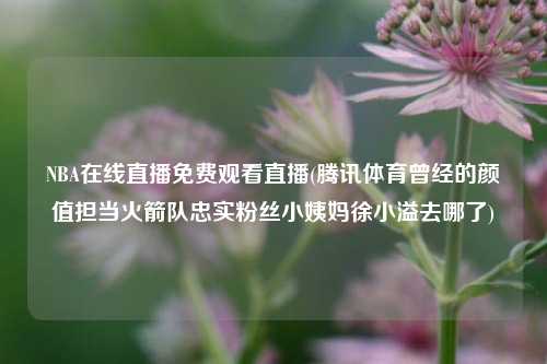NBA在线直播免费观看直播(腾讯体育曾经的颜值担当火箭队忠实粉丝小姨妈徐小溢去哪了)
