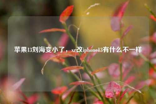 苹果13刘海变小了，xr改iphone13有什么不一样