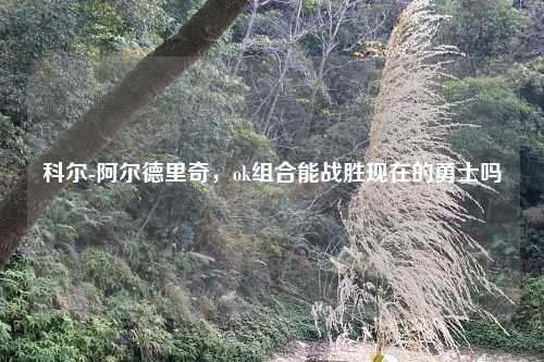 科尔-阿尔德里奇，ok组合能战胜现在的勇士吗