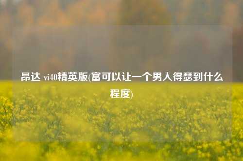 昂达 vi40精英版(富可以让一个男人得瑟到什么程度)