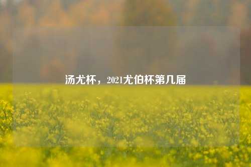 汤尤杯，2021尤伯杯第几届