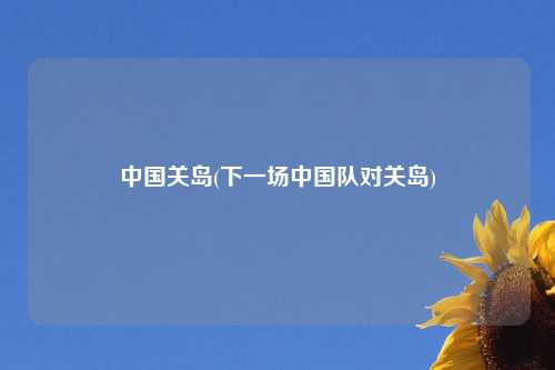 中国关岛(下一场中国队对关岛)
