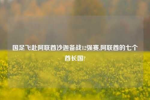 国足飞赴阿联酋沙迦备战12强赛,阿联酋的七个酋长国?