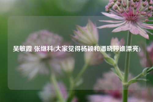吴敏霞 张继科(大家觉得杨颖和潘晓婷谁漂亮)
