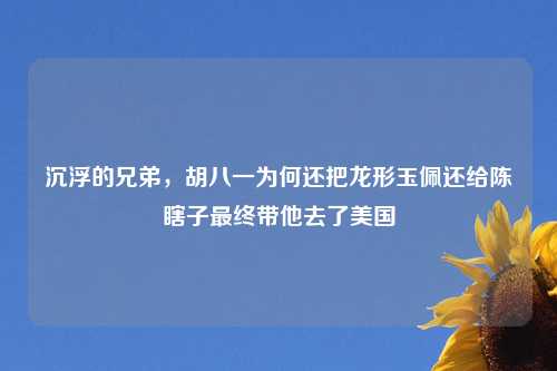 沉浮的兄弟，胡八一为何还把龙形玉佩还给陈瞎子最终带他去了美国