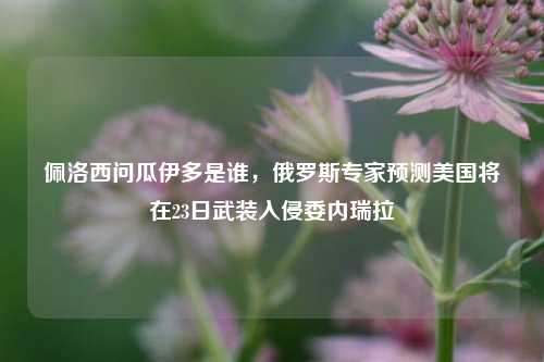 佩洛西问瓜伊多是谁，俄罗斯专家预测美国将在23日武装入侵委内瑞拉