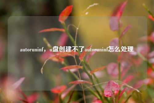 autoruninf，u盘创建不了autoruninf怎么处理