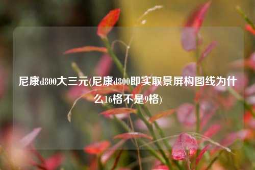 尼康d800大三元(尼康d800即实取景屏构图线为什么16格不是9格)
