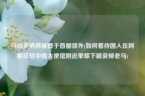 马拉多纳将被葬于首都郊外(如何看待国人在阿根廷驻中国大使馆附近单膝下跪哀悼老马)
