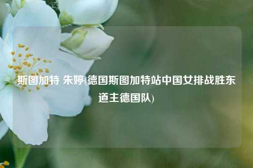 斯图加特 朱婷(德国斯图加特站中国女排战胜东道主德国队)