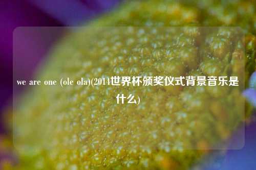 we are one (ole ola)(2014世界杯颁奖仪式背景音乐是什么)