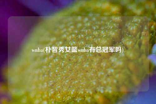 wnba(朴智秀女篮wnba有总冠军吗)
