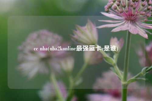 cc nba(nba2konline最强蓝卡c是谁)