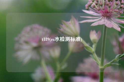 t189(ro水检测标准)
