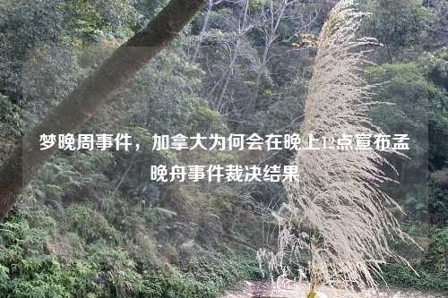 梦晚周事件，加拿大为何会在晚上12点宣布孟晚舟事件裁决结果