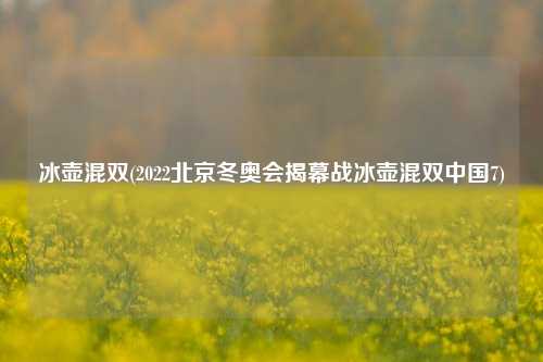 冰壶混双(2022北京冬奥会揭幕战冰壶混双中国7)