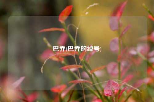 巴乔(巴乔的绰号)