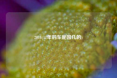 2011(11年的车是国几的)
