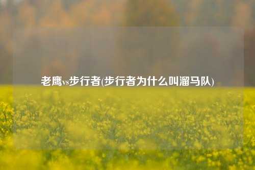 老鹰vs步行者(步行者为什么叫溜马队)
