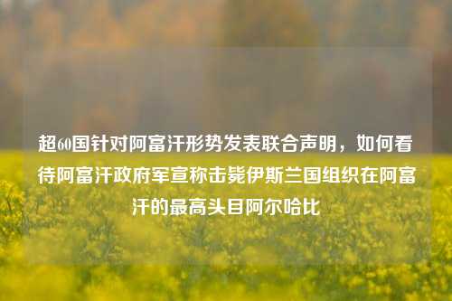 超60国针对阿富汗形势发表联合声明，如何看待阿富汗政府军宣称击毙伊斯兰国组织在阿富汗的最高头目阿尔哈比