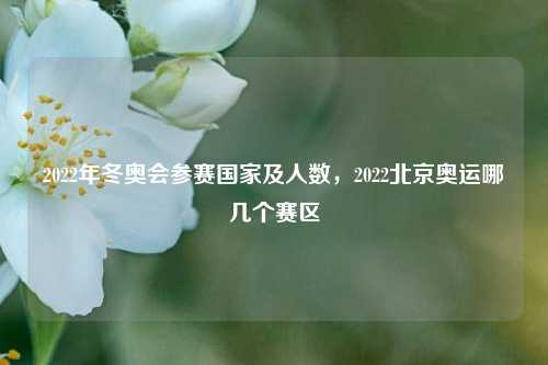 2022年冬奥会参赛国家及人数，2022北京奥运哪几个赛区