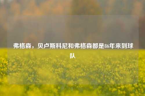  弗格森，贝卢斯科尼和弗格森都是86年来到球队