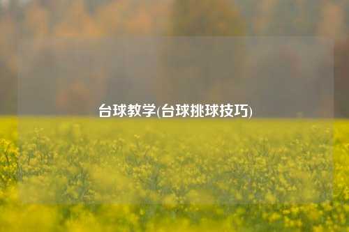 台球教学(台球挑球技巧)