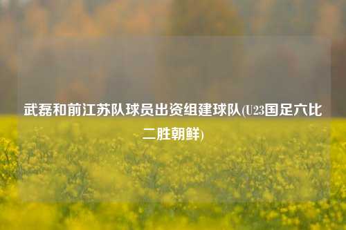 武磊和前江苏队球员出资组建球队(U23国足六比二胜朝鲜)