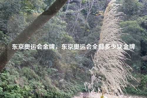 东京奥运会金牌，东京奥运会全部多少块金牌