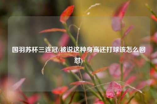 国羽苏杯三连冠(被说这种身高还打球该怎么回怼)
