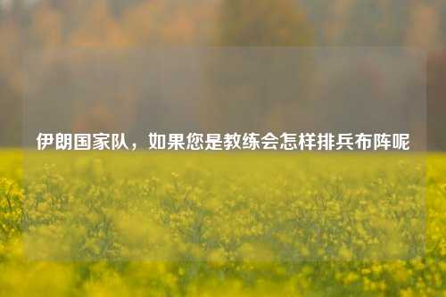 伊朗国家队，如果您是教练会怎样排兵布阵呢