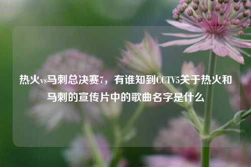 热火vs马刺总决赛7，有谁知到CCTV5关于热火和马刺的宣传片中的歌曲名字是什么