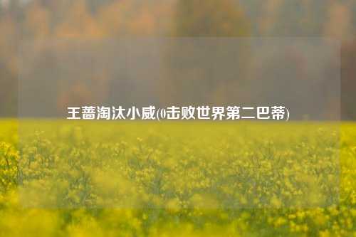 王蔷淘汰小威(0击败世界第二巴蒂)