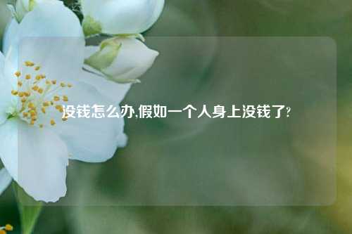 没钱怎么办,假如一个人身上没钱了?