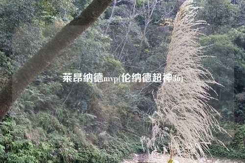 莱昂纳德mvp(伦纳德超神36)