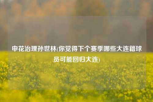 申花治理孙世林(你觉得下个赛季哪些大连籍球员可能回归大连)