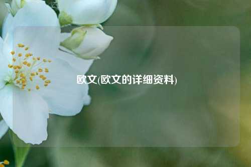  欧文(欧文的详细资料)
