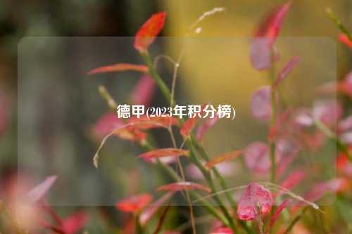 德甲(2023年积分榜)