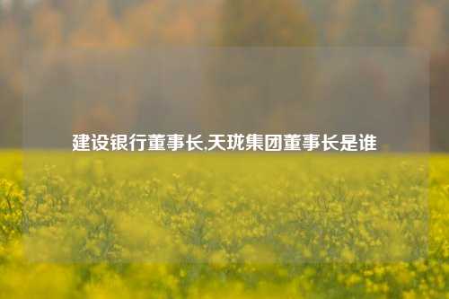 建设银行董事长,天珑集团董事长是谁