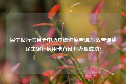 民生银行信用卡中心申请进度查询,怎么查询我民生银行信用卡有没有办理成功?