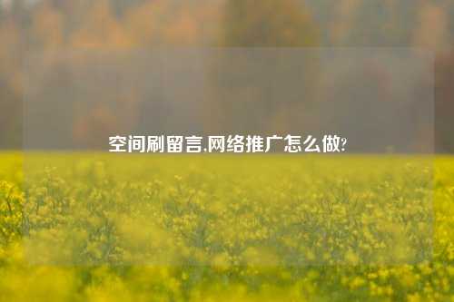 空间刷留言,网络推广怎么做?