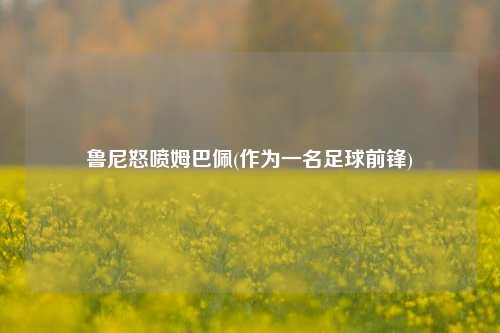 鲁尼怒喷姆巴佩(作为一名足球前锋)