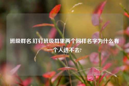 班级群名,钉钉班级群里两个同样名字为什么有一个人进不去?