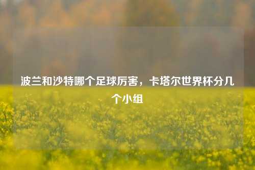 波兰和沙特哪个足球厉害，卡塔尔世界杯分几个小组